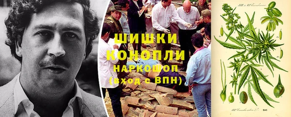 прущие грибы Алексин