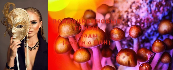 прущие грибы Алексин