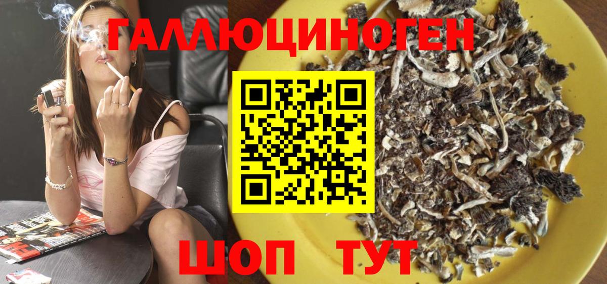Галлюциногенные грибы Psilocybine cubensis  Вход с VPN  Новочеркасск 