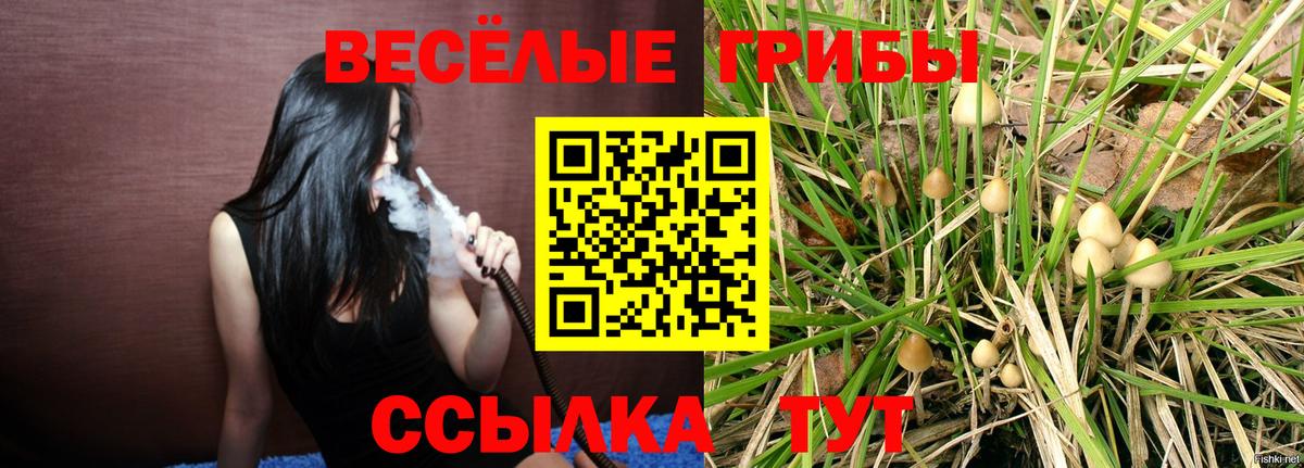 ГАШИШ  Каннабис  Новочеркасск  Наркошоп  КОКАИН  Меф МЯУ МЯУ кристаллы  Вход с VPN 