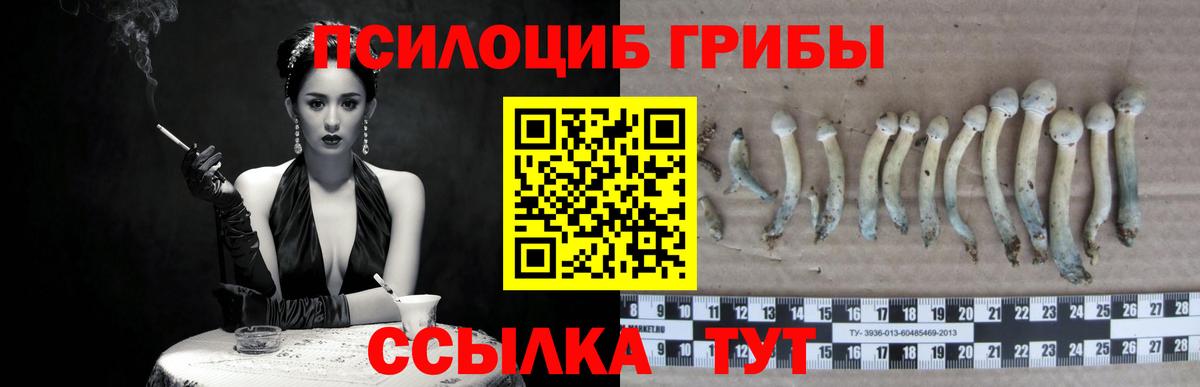 Галлюциногенные грибы ЛСД Новочеркасск