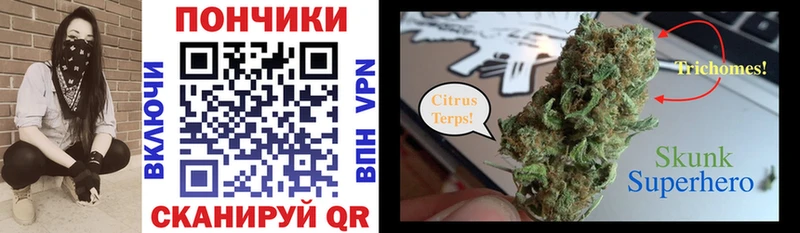закладка  Новочеркасск  Каннабис OG Kush 